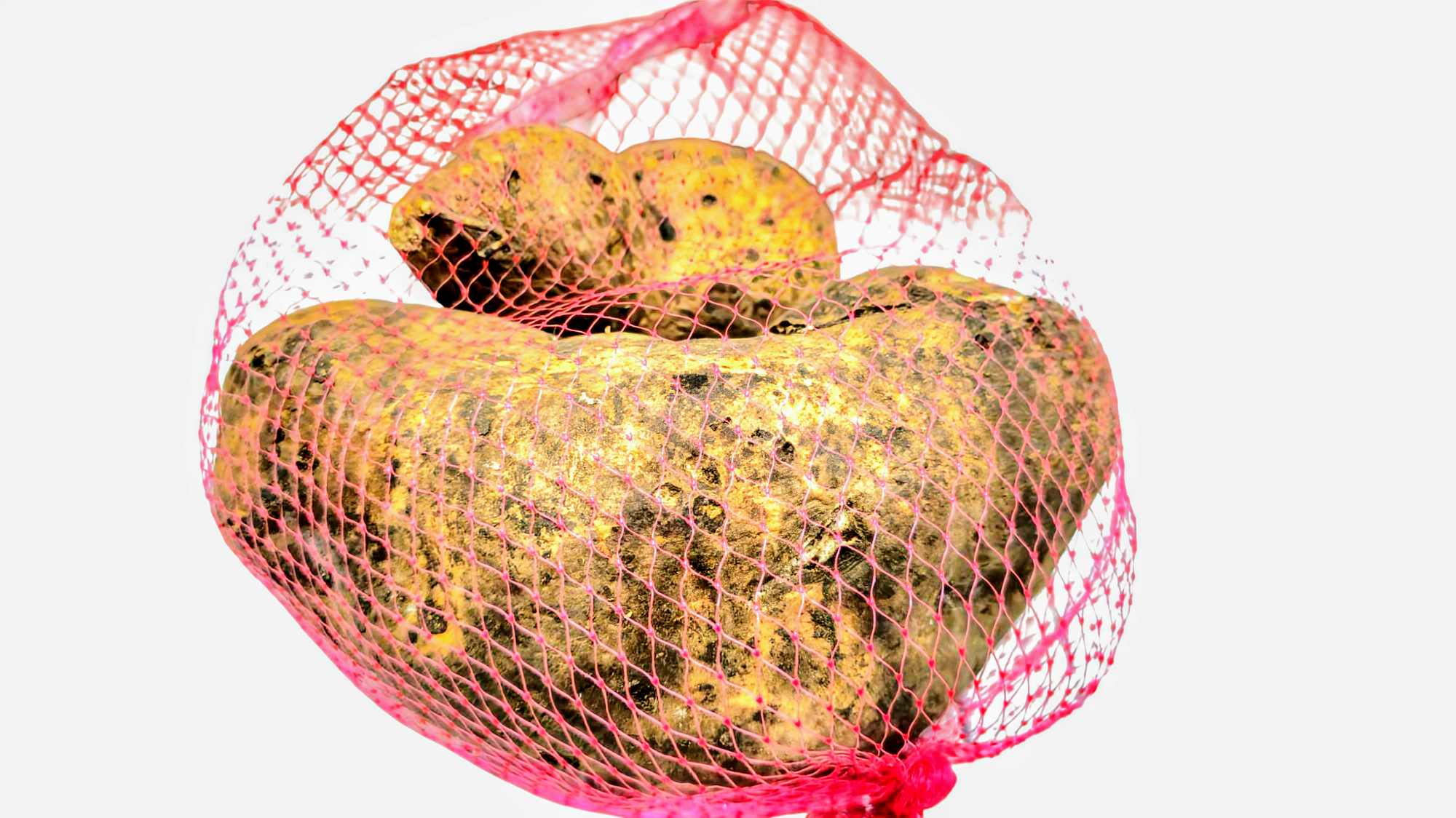Patates Local about 2.55 lbs